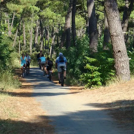La Palmyre Mobil 3ch Confort 128 4 Etoiles Les Charmettes Kamp alanı *