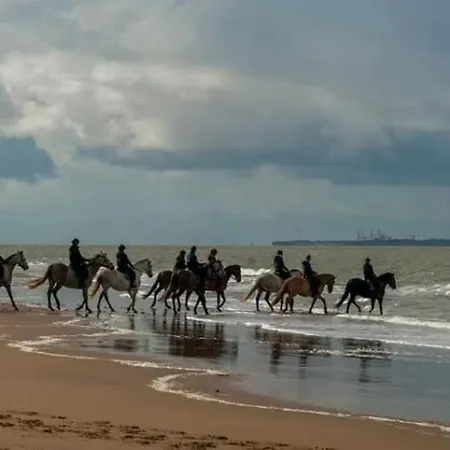 Camping La Palmyre Mobil 3ch Confort 128 4 Etoiles Les Charmettes